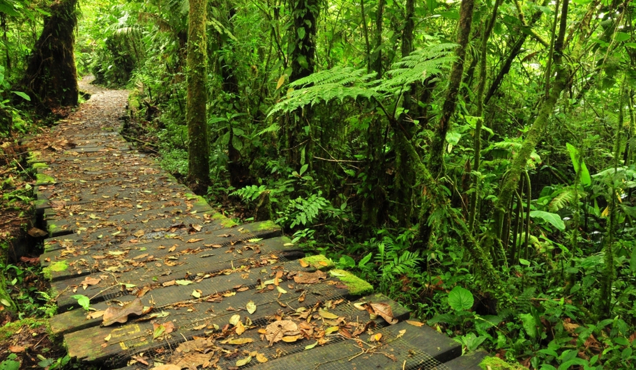 Destinaţiile de vacanţă cele mai recomandate sunt şi cele mai promovate